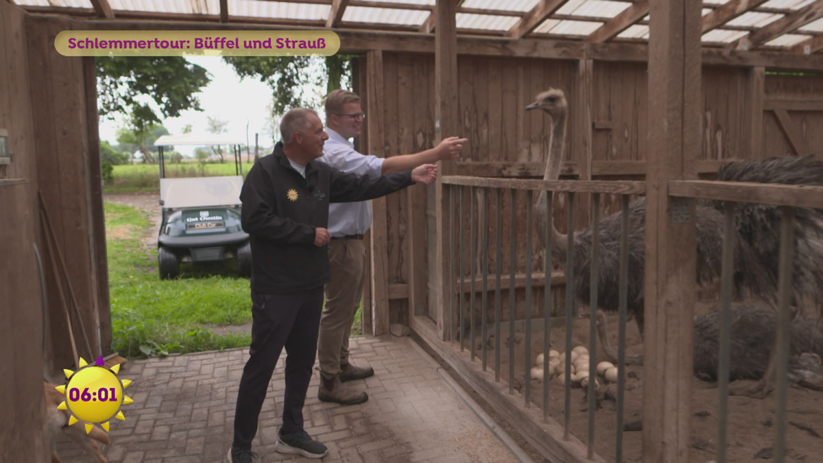 Schlemmertour: Büffel und Strauß