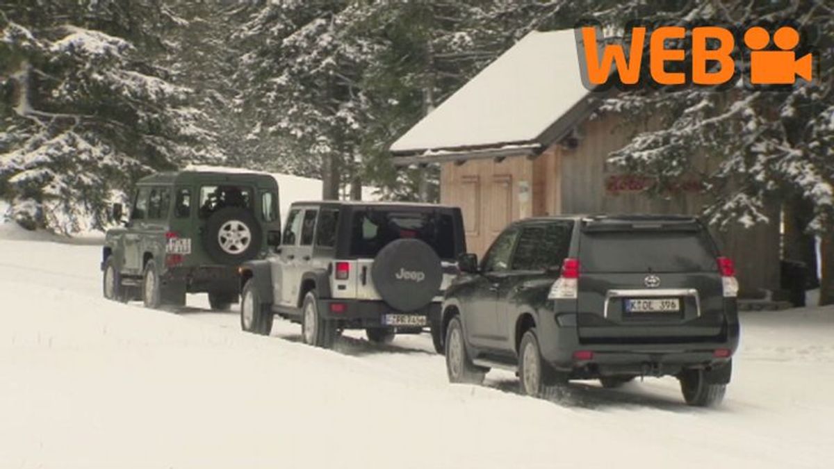 Echte Geländewagen - Defender, Wrangler und Landcruiser