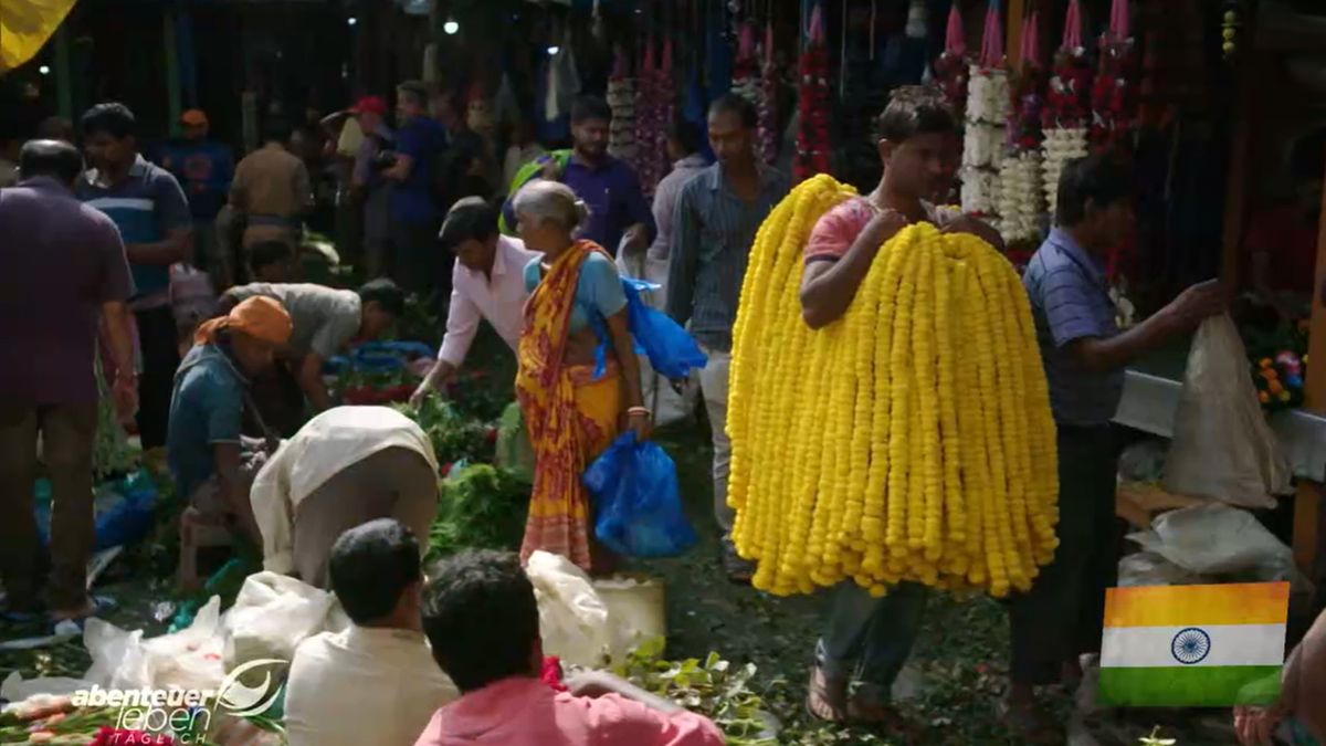 Unterwegs in Indien