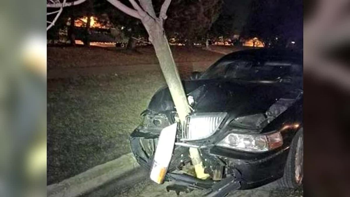 Seltenes Vergehen: Betrunkene Frau fährt mit Baum spazieren