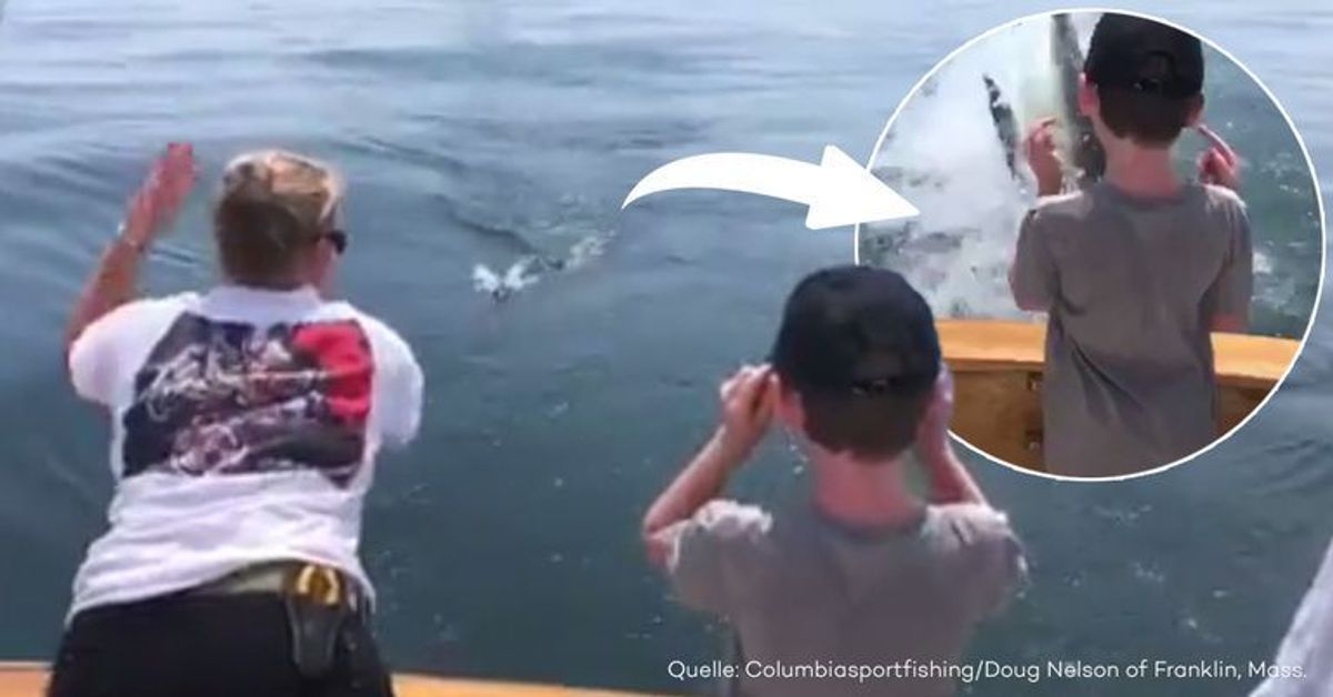Schock-Moment: Angler werden von Weißem Hai überrascht