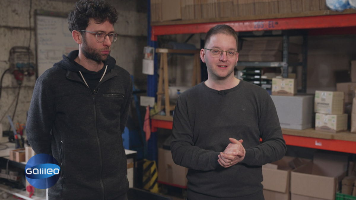 Made by Made: Klimafreundliche Insektenprodukte 