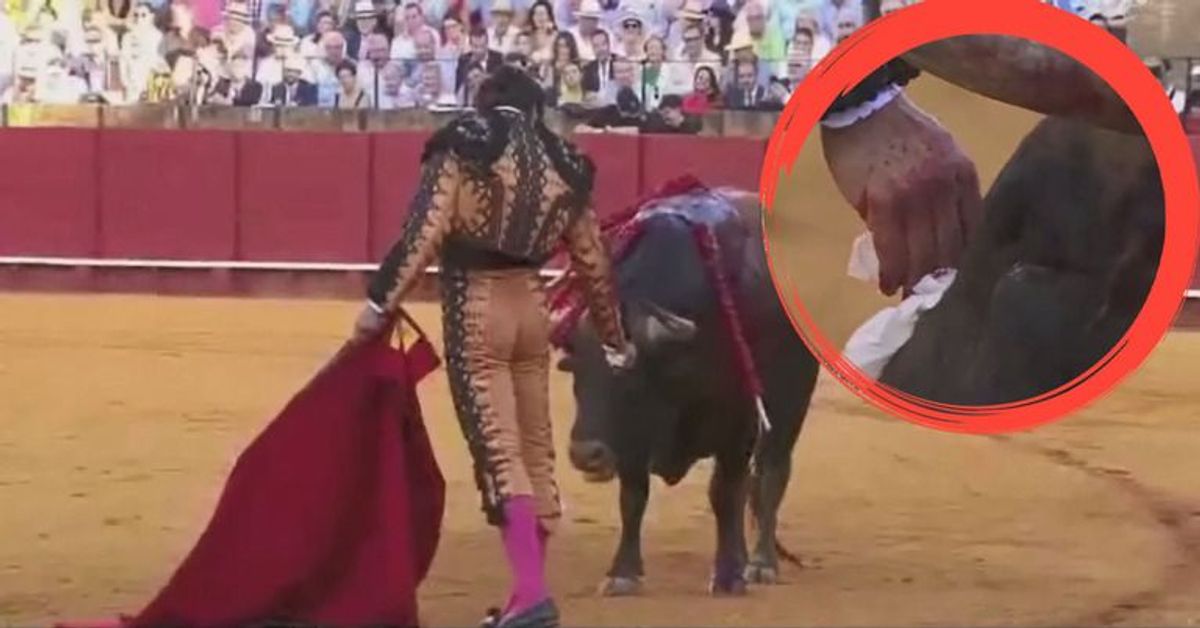 Matador wischt blutendem Stier Tränen ab, bevor er ihn tötet