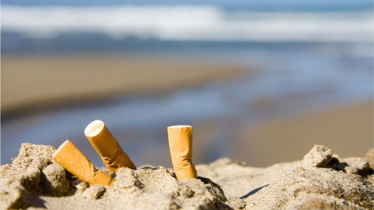 Ost-und Nordsee: An diesen Stränden ist das Rauchen verboten