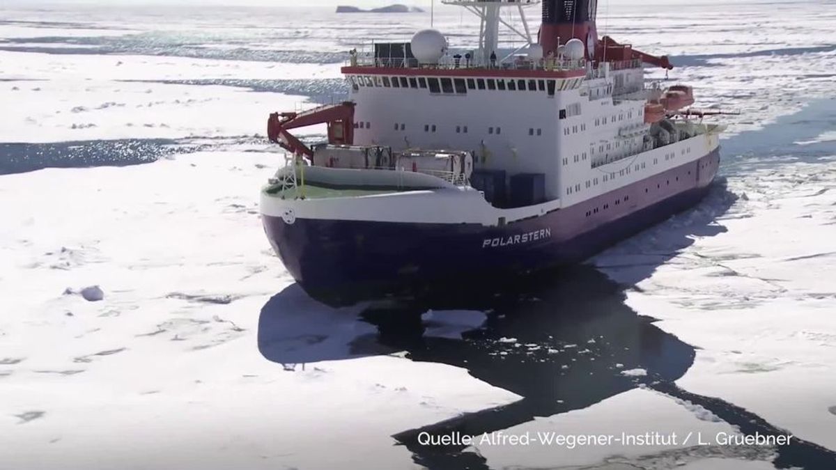 Arktis-Expedition: Das hat der Eisbrecher "Polarstern" untersucht