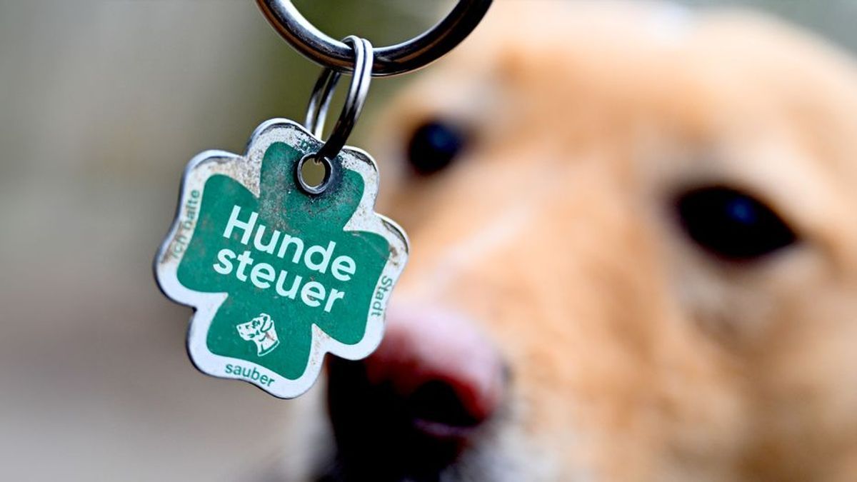 Mann ohne Hund soll Hundesteuer zahlen