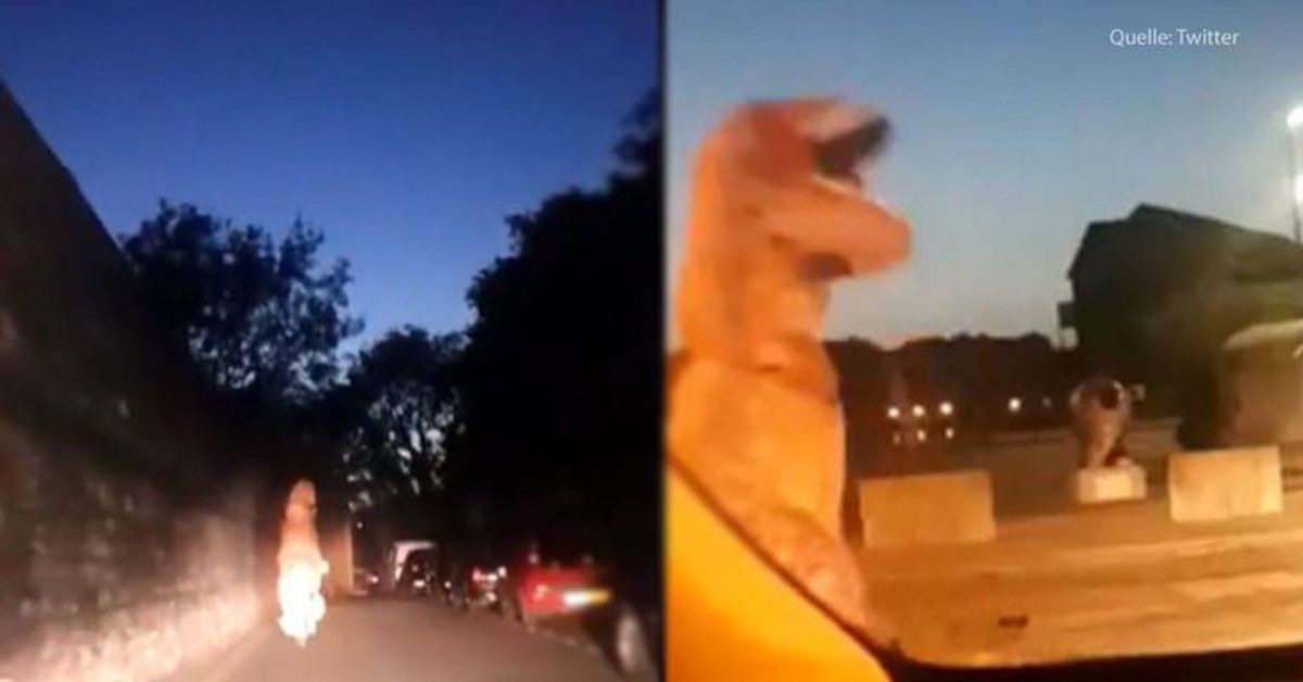 T-Rex auf der Flucht: Polizei lacht sich kaputt