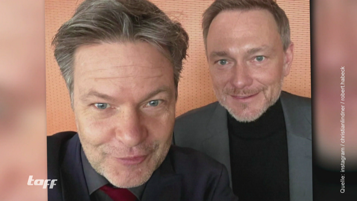 Viel Spott für Politiker-Foto: Das Lindner-Habeck-Selfie