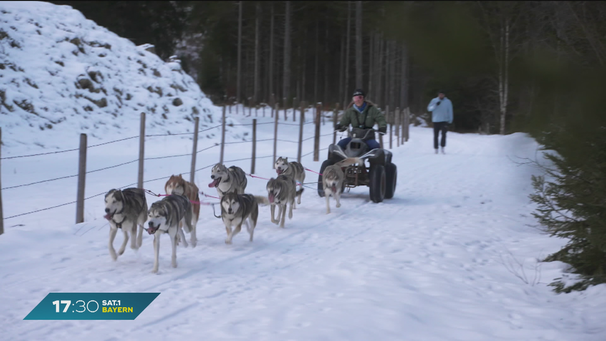 Nei g’schaut - zu Gast im Allgäu:  Schlittenhunde-Rennen in Bad Hindelang