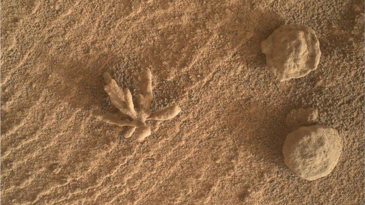 Ungewöhnliche Entdeckung: Foto von Mars-Rover zeigt besondere Formation im Sand
