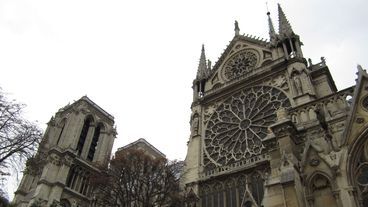 Die Kannibalen von Notre-Dame