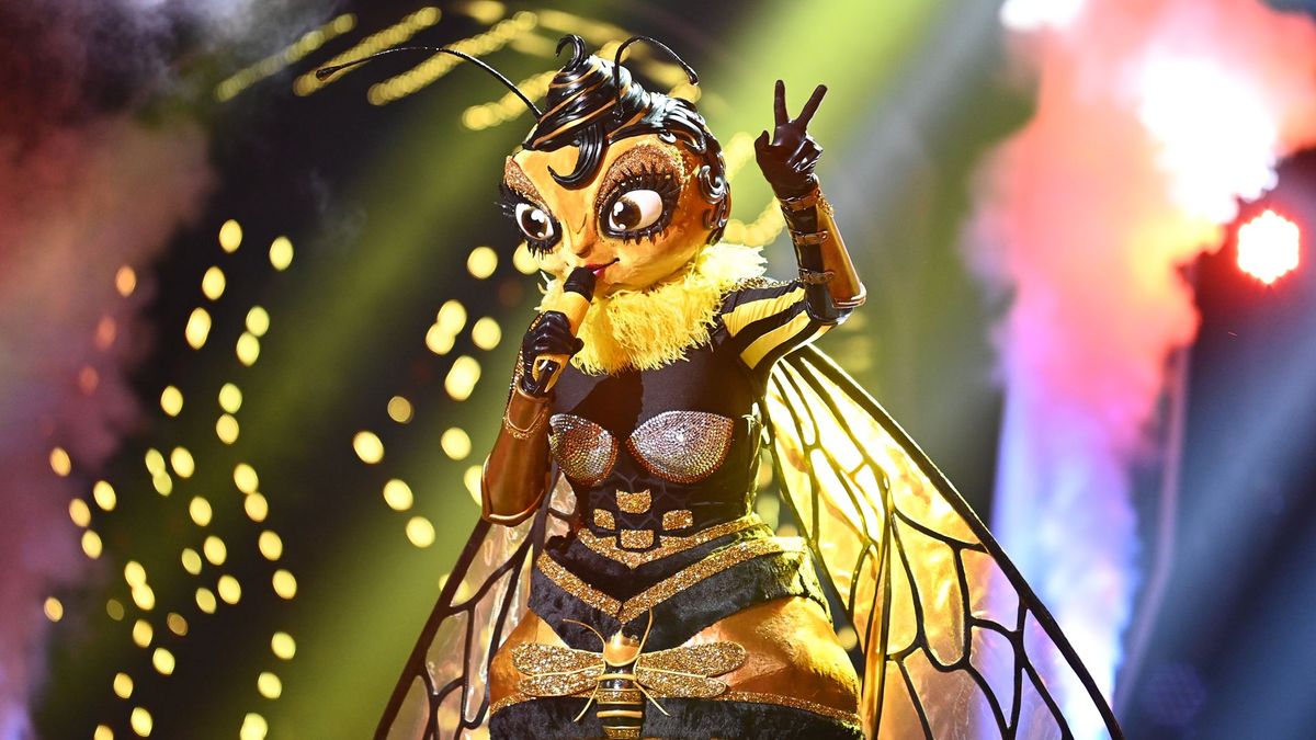 The Masked Singer