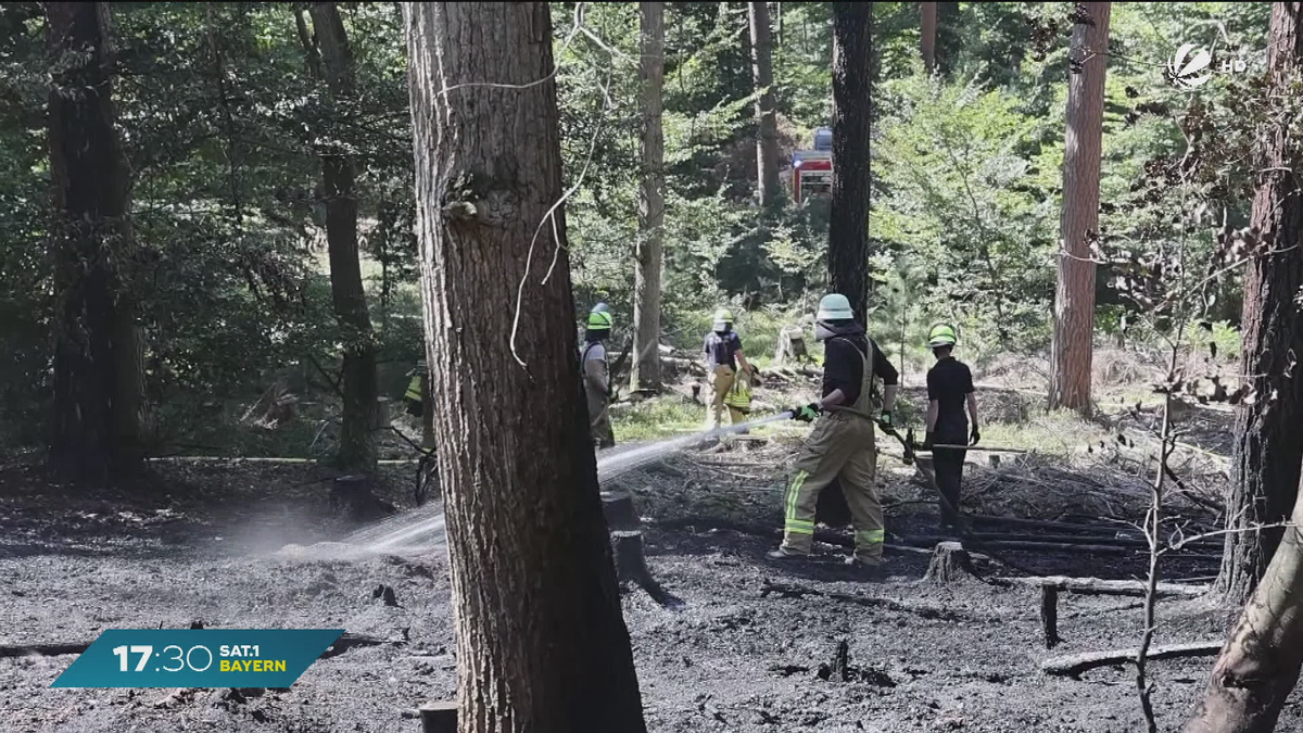 Waldbrand bei Alzenau: 130 Einsatzkräfte am Löschen