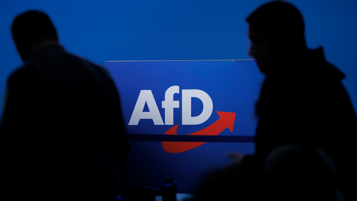 AfD geht bei Ausschussvorsitzen leer aus