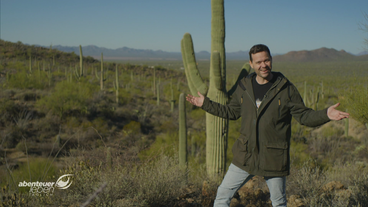 Abenteuer Leben täglich: Roadtrip Arizona – mehr als nur Grand Canyon