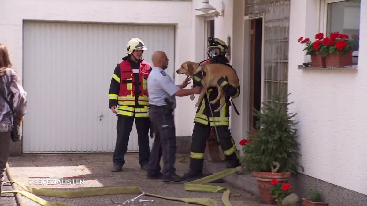 Erst der Brand, dann das Vergnügen