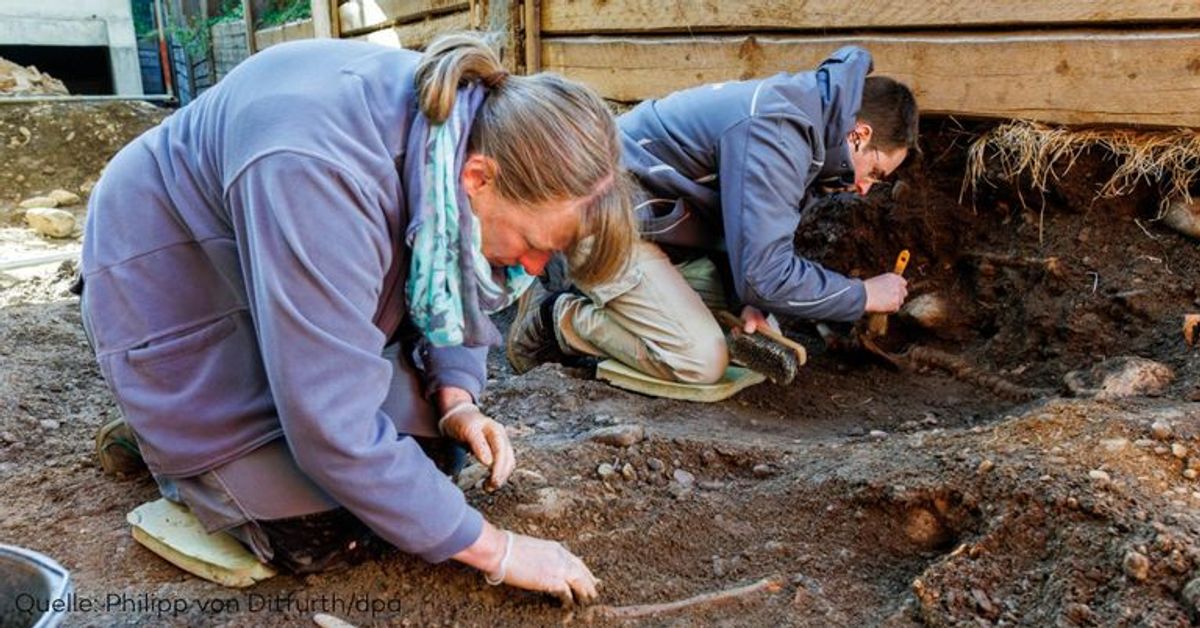 Menschliche Knochen in Freiburg: 400 Skelette von Leprafriedhof liefern historische Einblicke