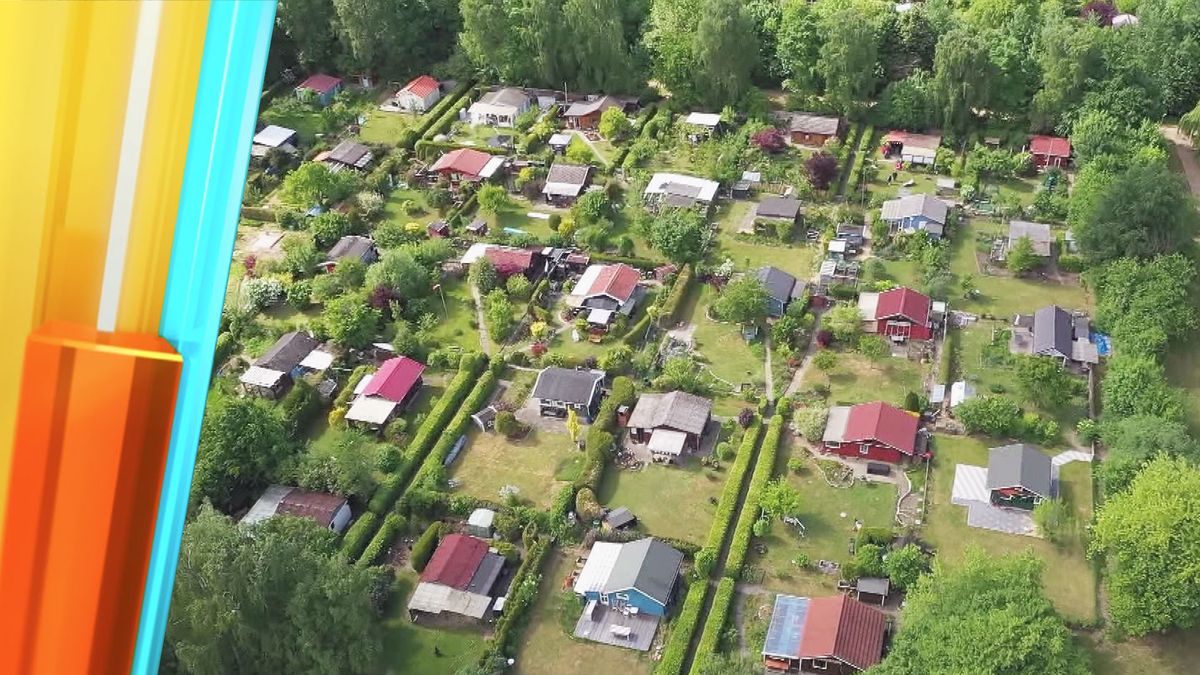 Zoff, Zwerge und Zucchini: Zu Besuch in Deutschlands größter Kleingartenanlage