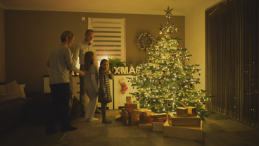 Family-Business: Weihnachtsbaumständer für unkomplizierte Feiertage