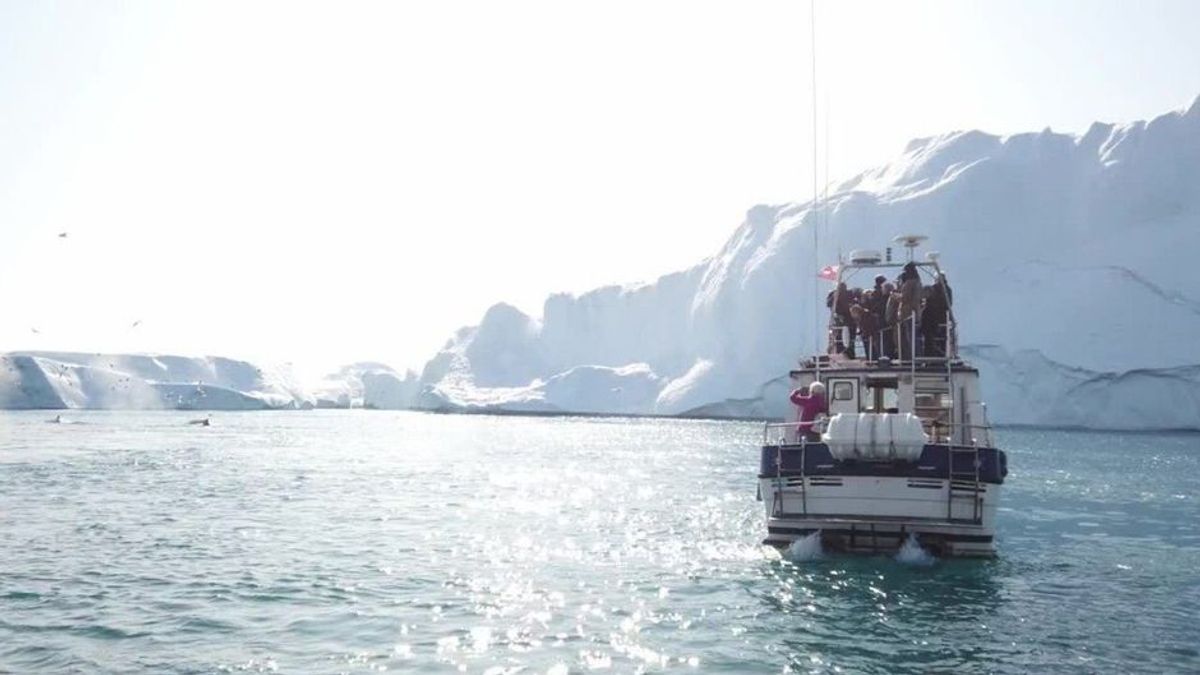 Forscher: Kaum noch Hoffnung für Gletscher - aber für Eisbären!