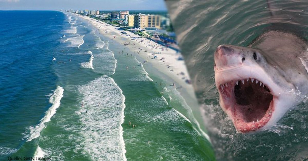 Gefährlichster Strand der Welt: Drei Haiangriffe in 24 Stunden