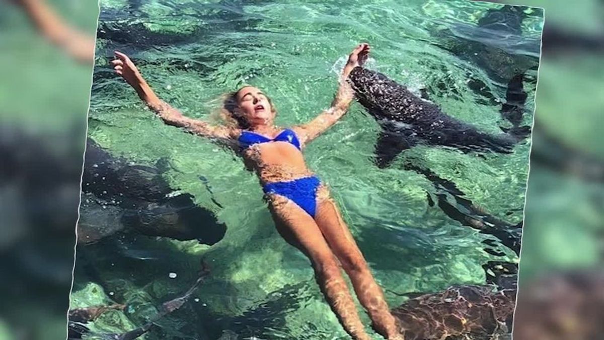 Instagram-Model posiert beim Wasser-Shooting mit Haien - bis plötzlich einer zubeißt