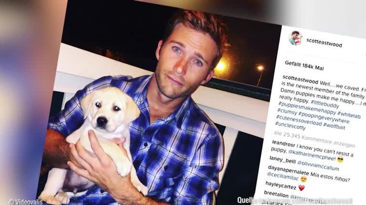 Scott Eastwood: Aus diesem traurigen Grund bleibt er Single