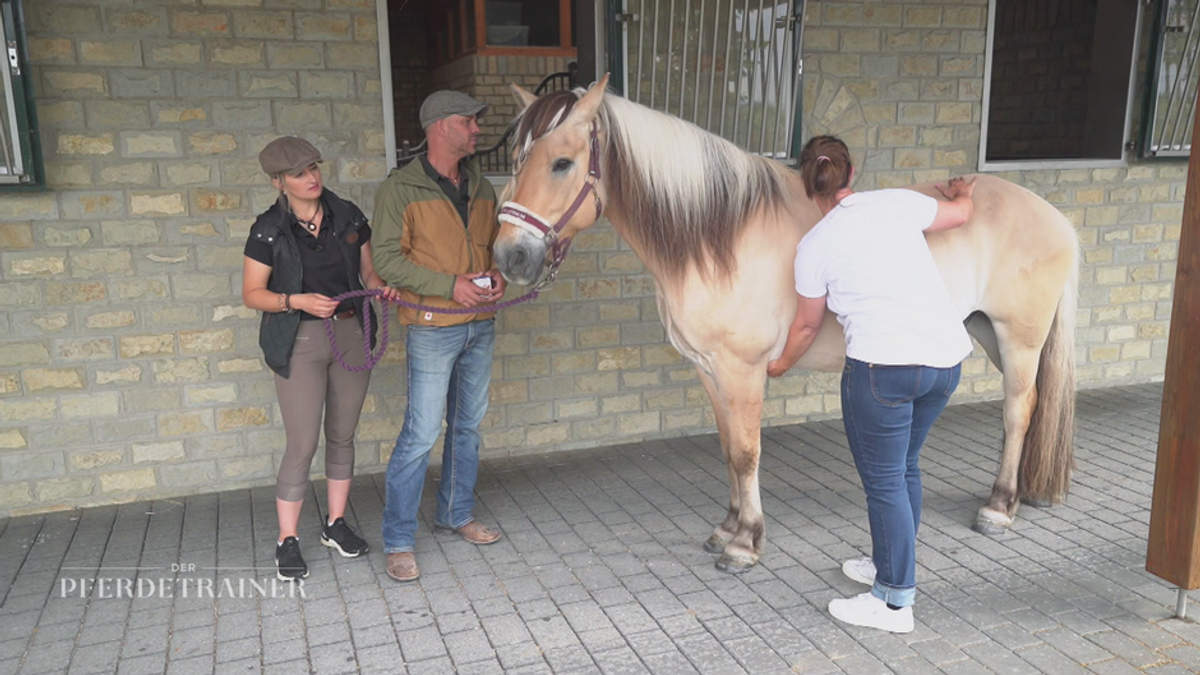 Die Pferdephysiotherapeutin zu Besuch bei Benny