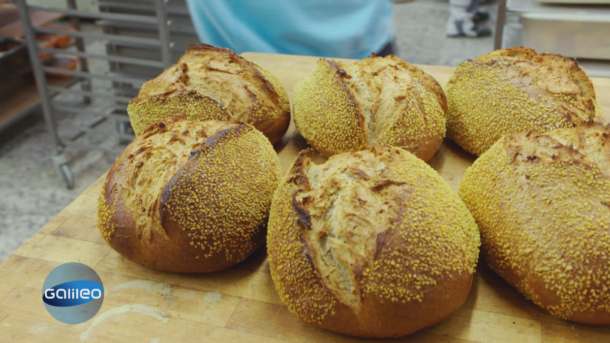 Wie schmeckt das günstige Inflationsbrot?