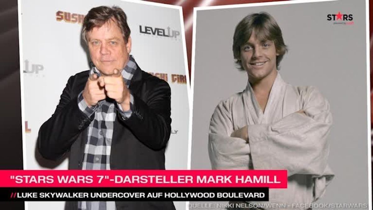 Star Wars 7: Mark Hamill auf dem Hollywood Boulevard