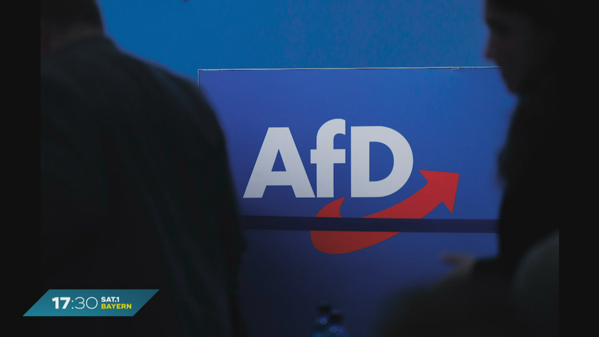 Ermittlungen gegen AfD-Politiker: Durchsuchungen im Fall Bystron