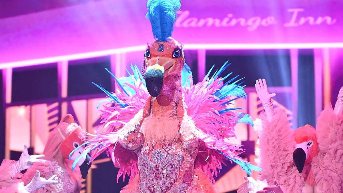 The Masked Singer 2021: Der Flamingo ist Ross Antony