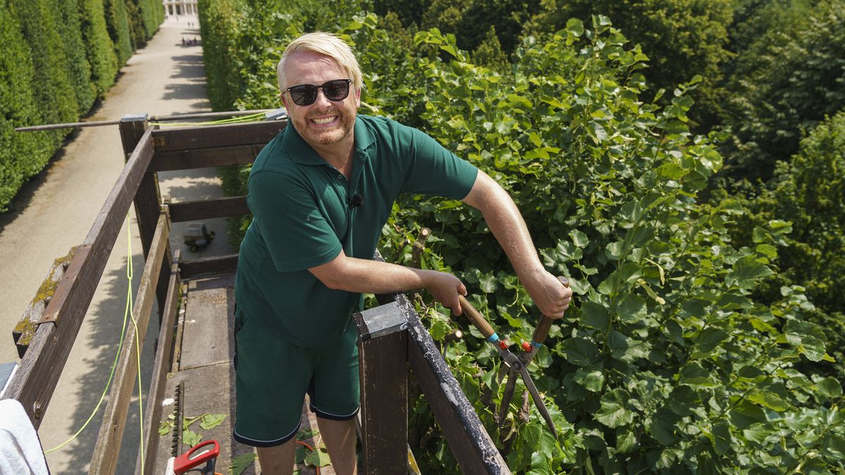 Von Buchskugel bis Hecke: Gärtner-Challenge für Ross Antony und Patricia Kelly