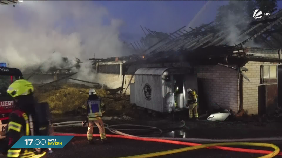 Nach Großbrand in Stall in Heinersreuth: 16 Pferde ums Leben gekommen