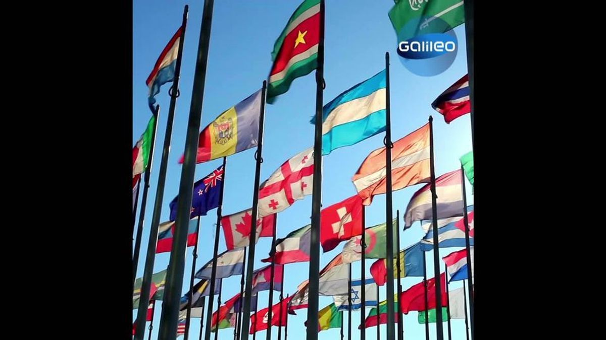 Kurios: Warum es nur zwei lila Flaggen auf der Welt gibt