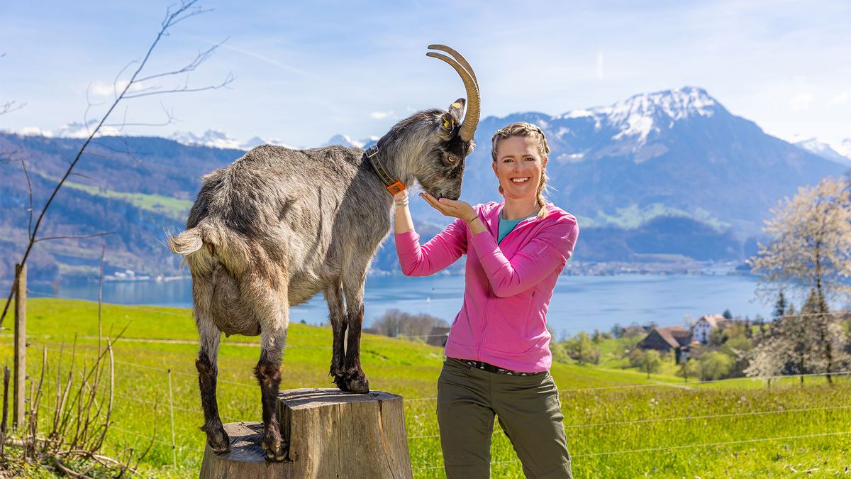 Horwer und Hergiswiler Seebucht