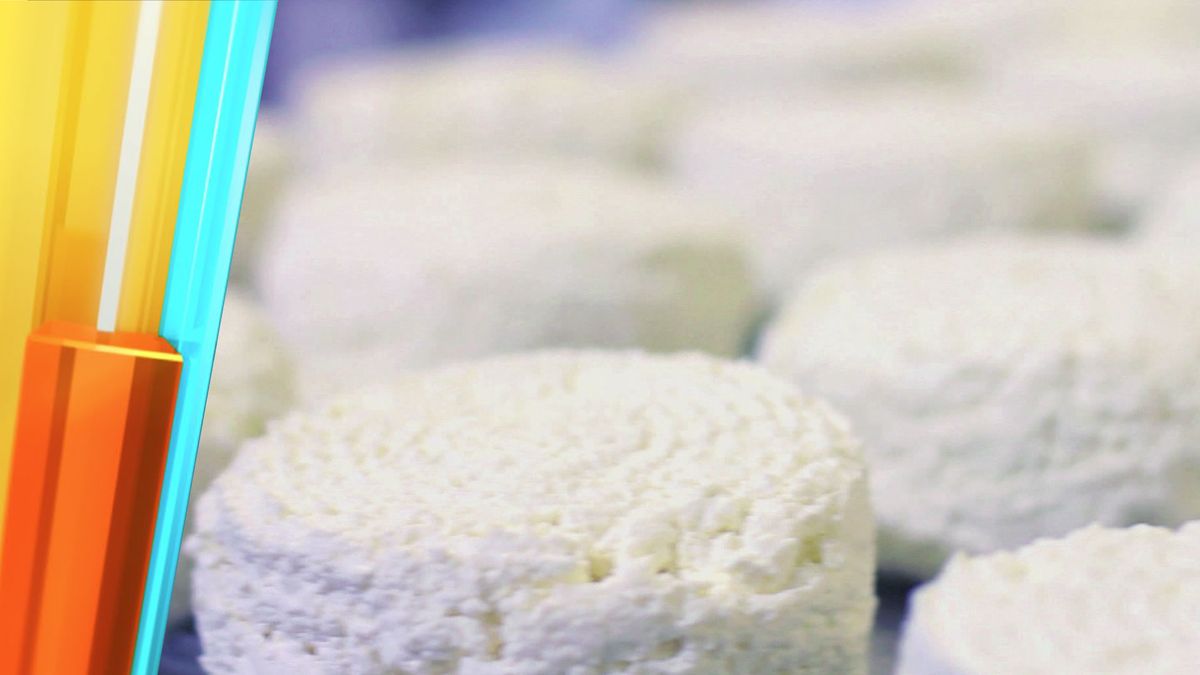 Trendfood: Woher kommt der Hype um Hüttenkäse?