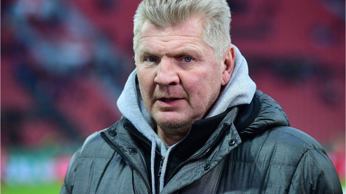 "Eine Katastrophe": Effenberg fordert hartes Durchgreifen bei Rassismus im Stadion