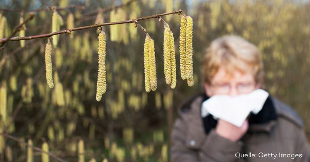 Allergiker aufgepasst: Diese Pollen blühen bereits