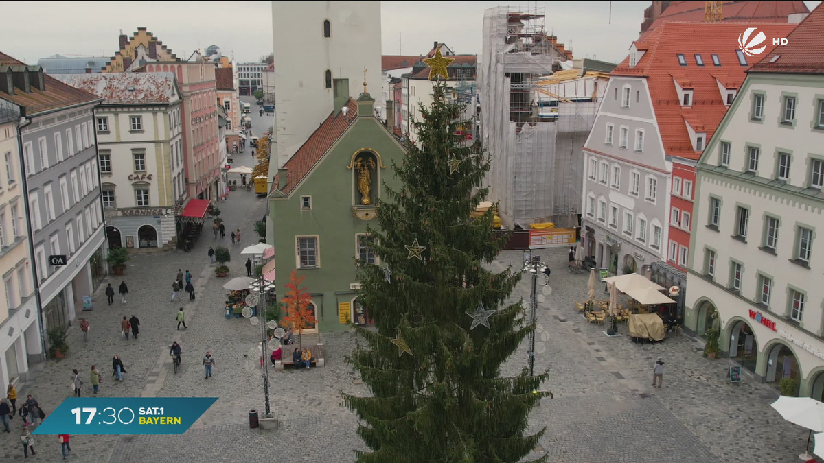 Christbaum im Oktober? Darum steht in Straubing schon der Tannenbaum