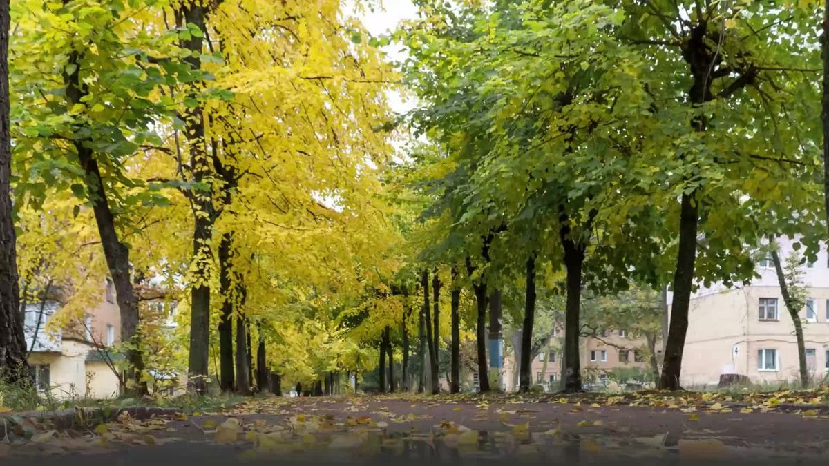 Heftiges Orkantief macht Schluss mit sommerlichen Temperaturen!