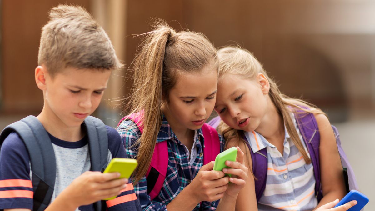 Kommt die Altersgrenze für Social Media?