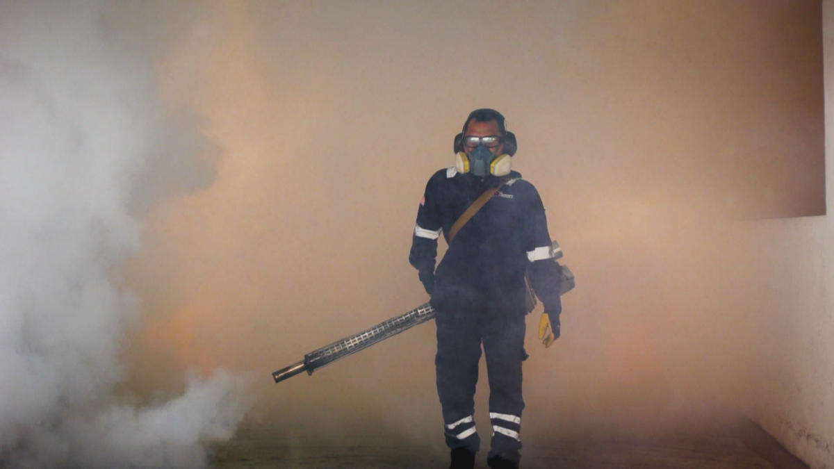 Pestbusters: Im Kampf gegen die Mücken