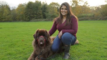 Driver, Dexter und Bailey