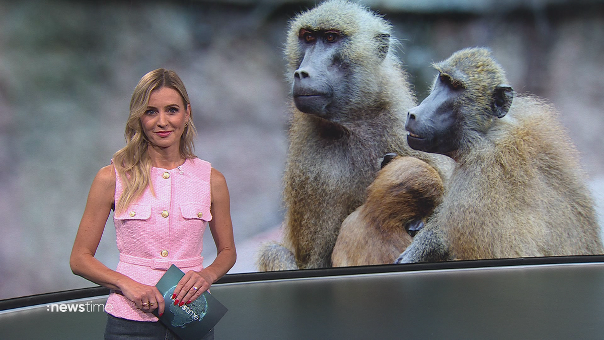 :newstime vom 26. Juli 2025 | 18:00