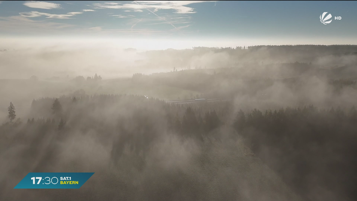 Herbststimmung in Bayern: Mystischer Morgen und goldener Nachmittag