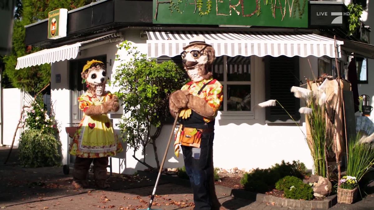 The Masked Singer