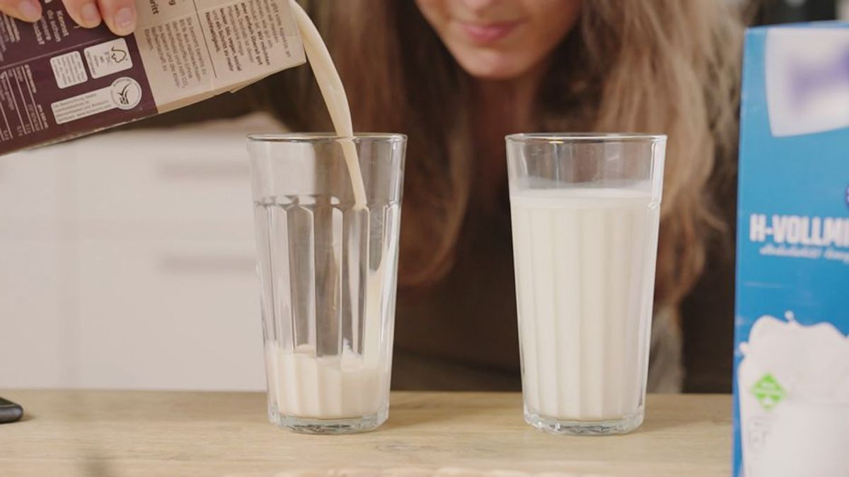 Milch-Mythen: Was ist dran an den Gerüchten rund um Kuhmilch?