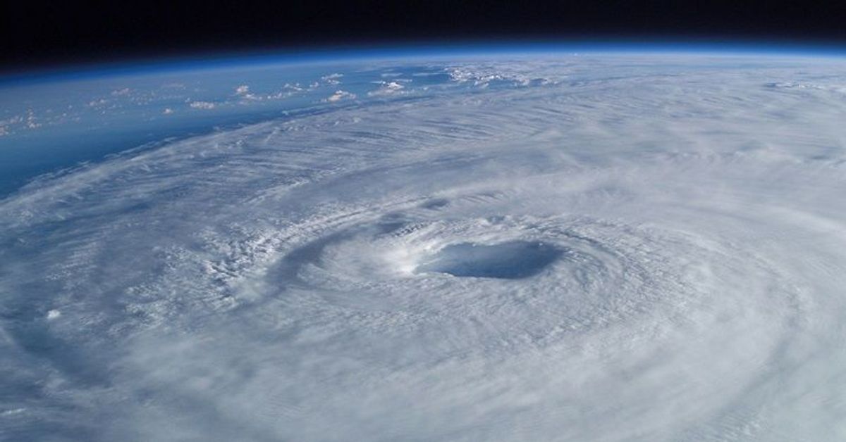 Sturm-Alarm in Deutschland: Hier droht Orkan-Gefahr