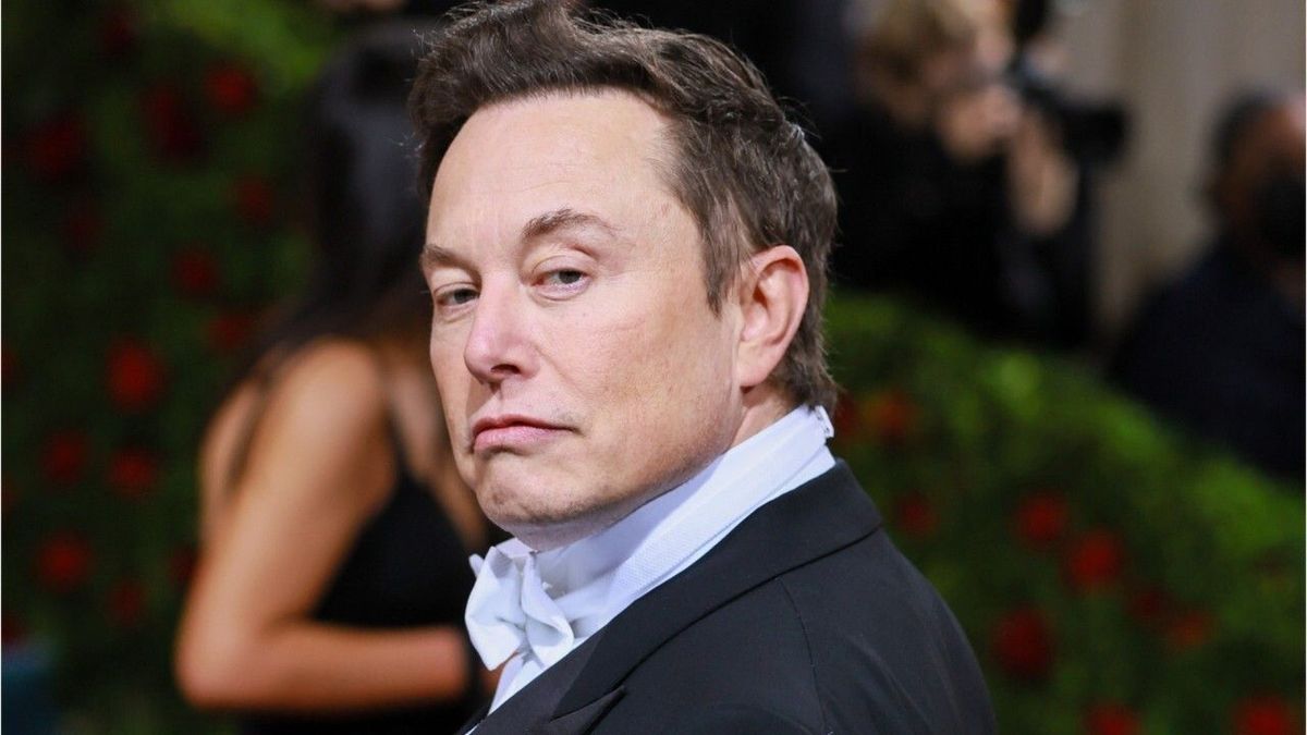 Nach Twitter-Chaos: Plant Elon Musk nun eigene Social-Plattform?